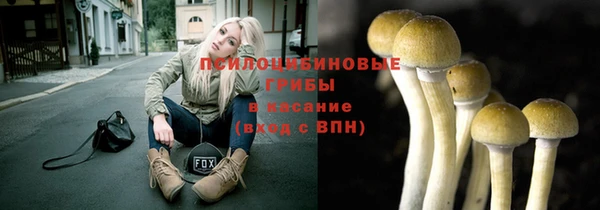гашиш Горнозаводск