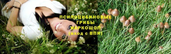 apvp Вязьма